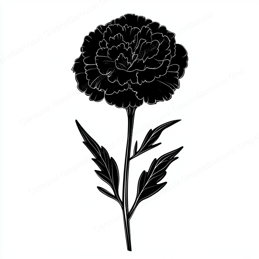 Carnation Vector Graphic preview
