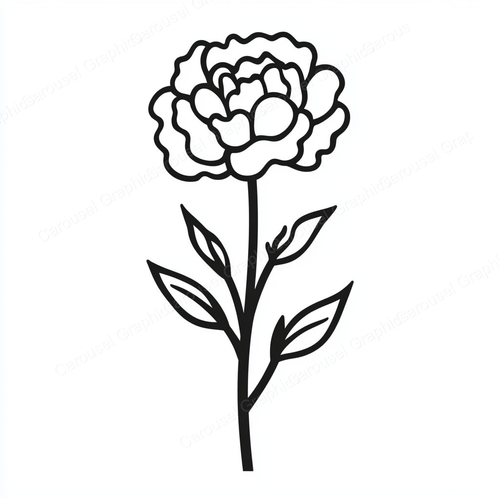 Carnation Vector Graphic preview