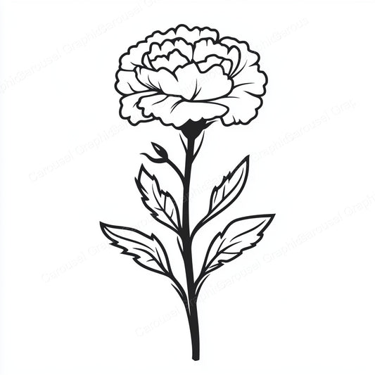Carnation Vector Graphic preview