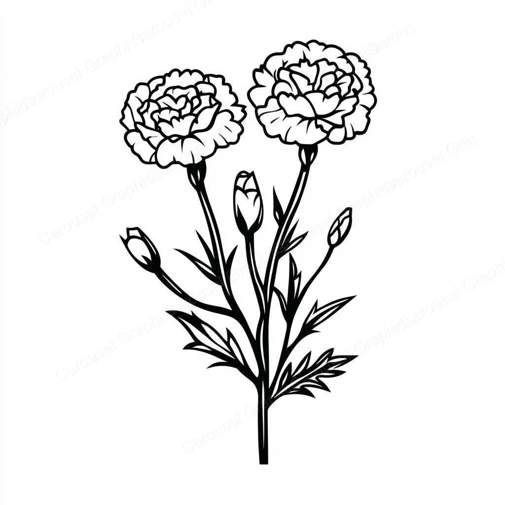 Carnation Vector Graphic preview
