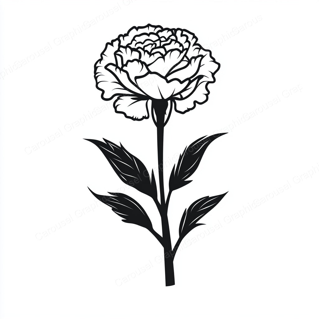 Carnation Vector Graphic preview