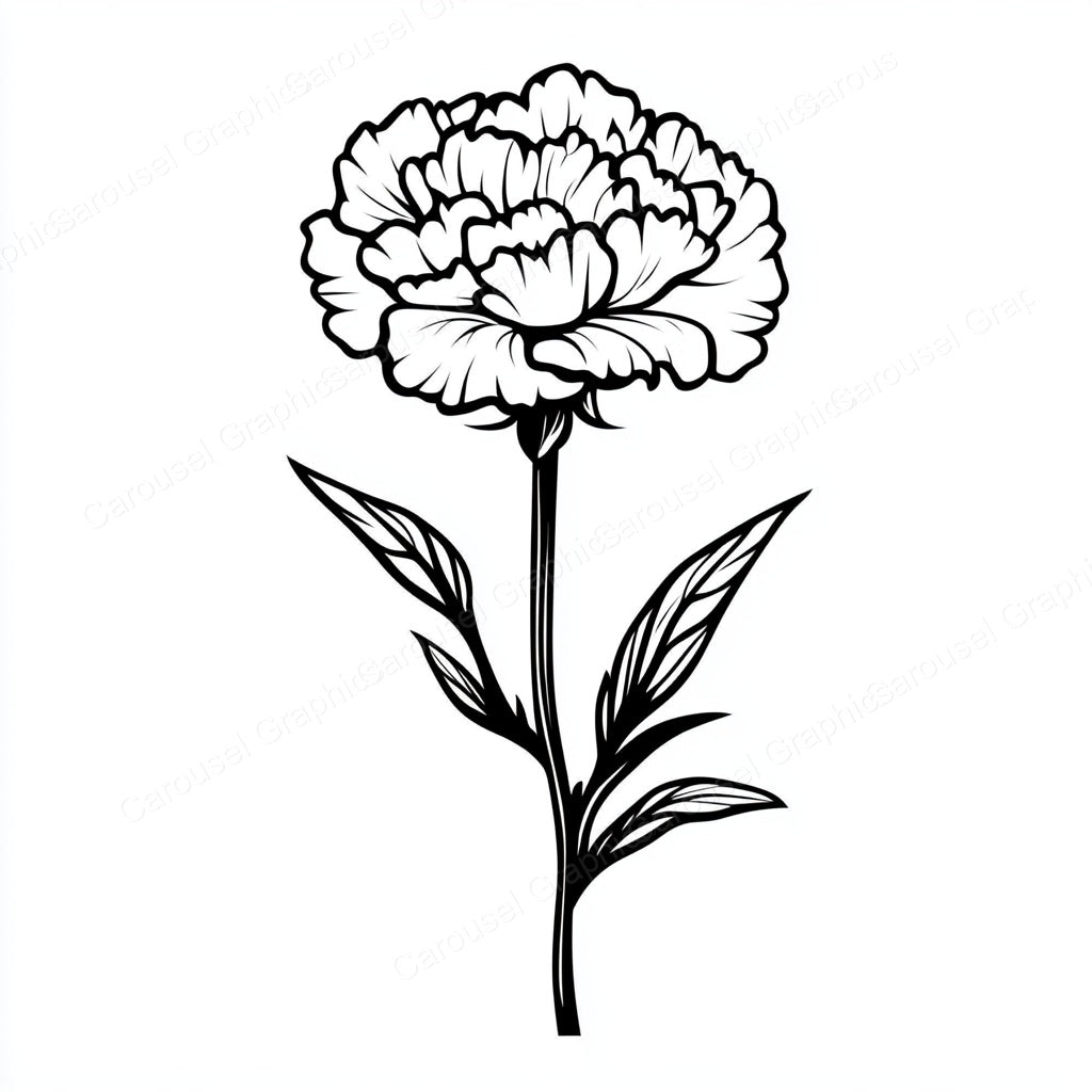 Carnation Vector Graphic preview