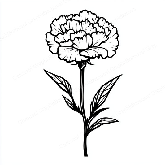 Carnation Vector Graphic preview