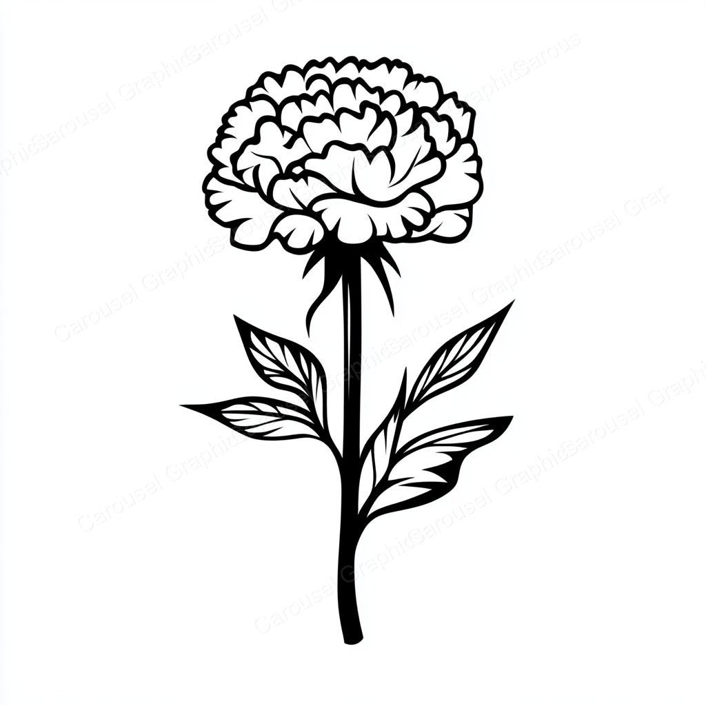 Carnation Vector Graphic preview