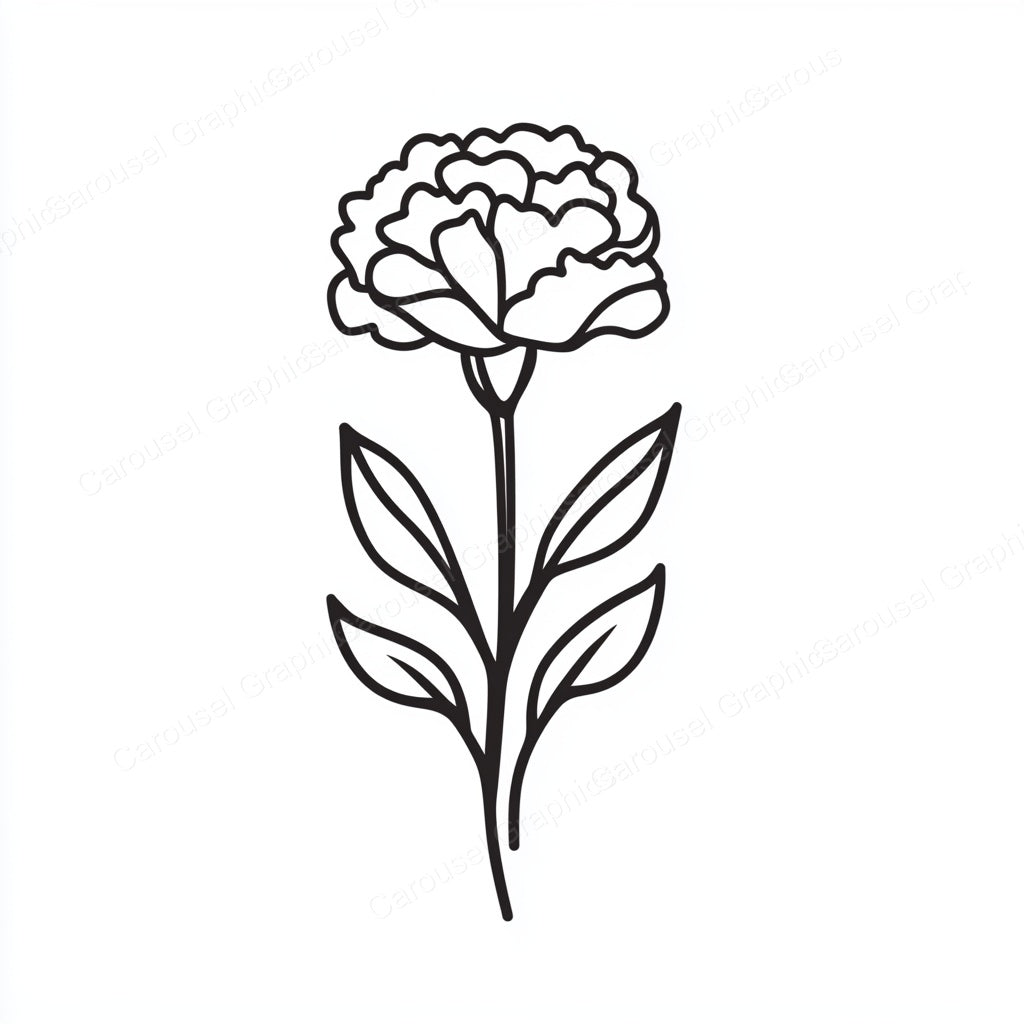 Carnation Vector Graphic preview