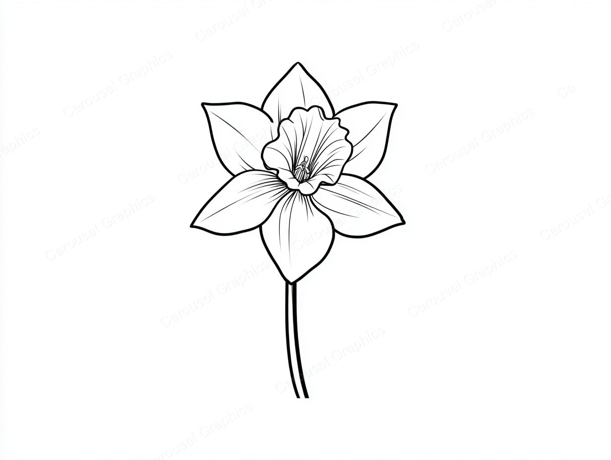 Daffodil Vector Graphic preview