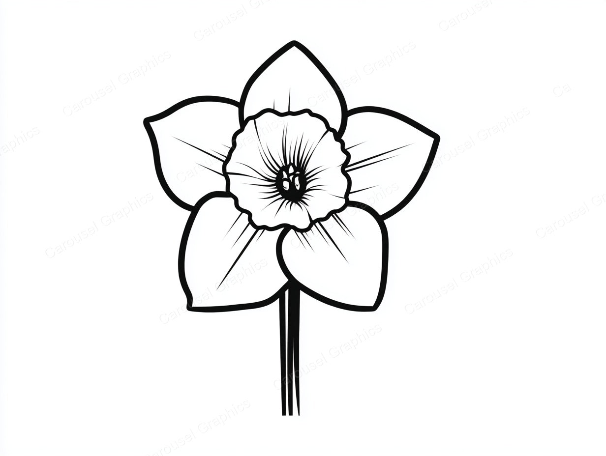 Daffodil Vector Graphic preview