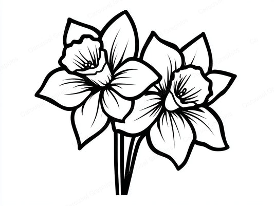 Daffodil Vector Graphic preview