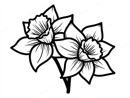 Daffodil Vector Graphic preview