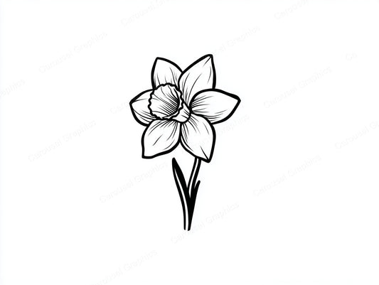 Daffodil Vector Graphic preview