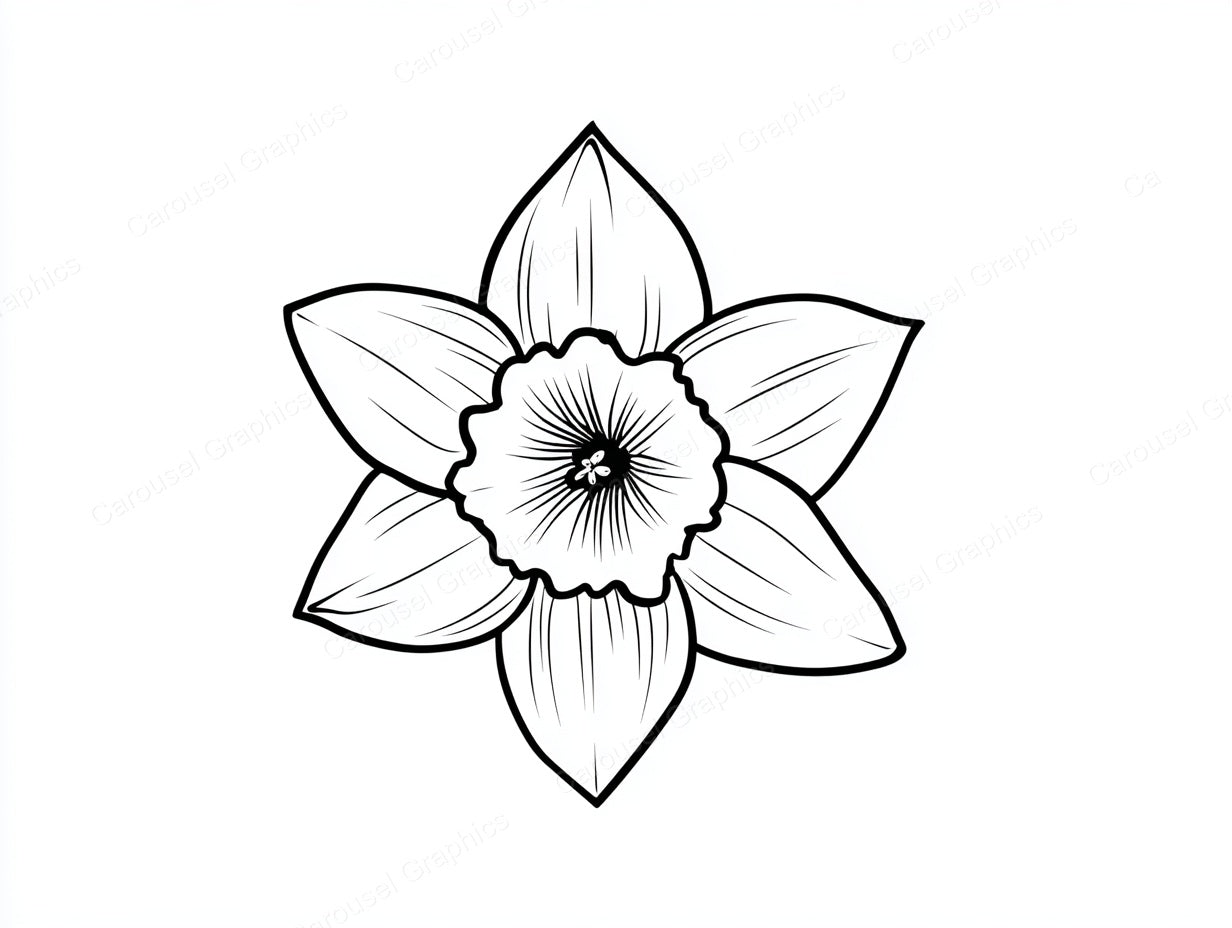 Daffodil Vector Graphic preview