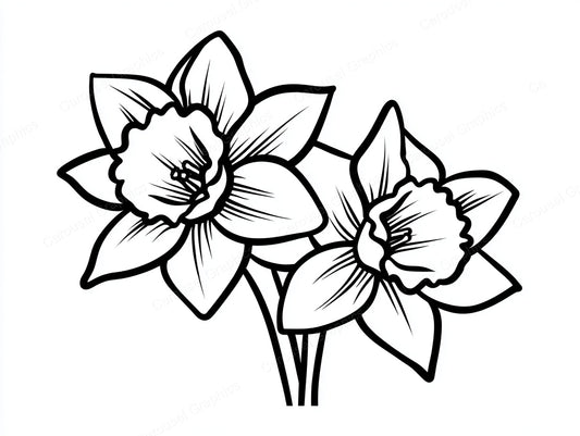 Daffodil Vector Graphic preview
