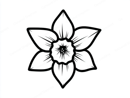 Daffodil Vector Graphic preview