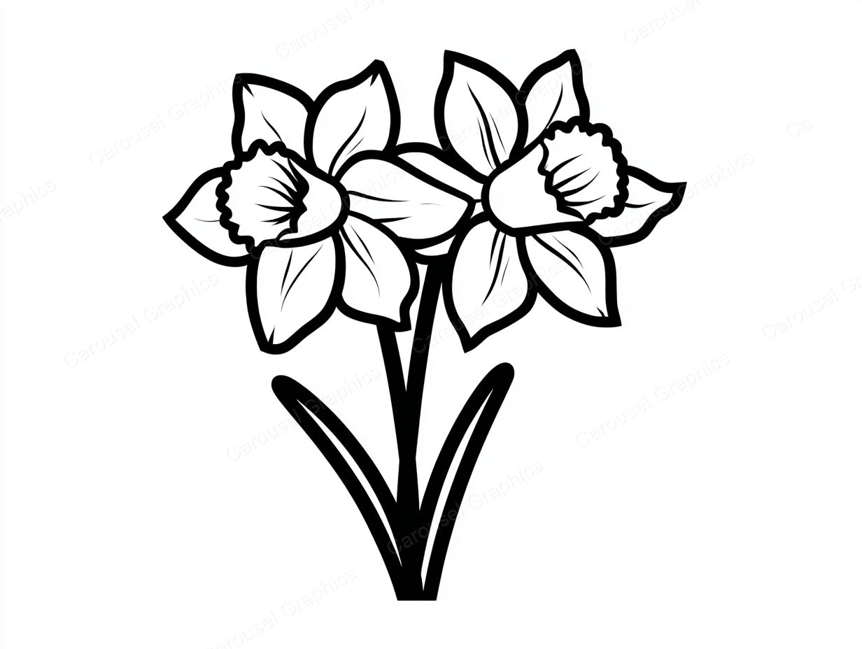 Daffodil Vector Graphic preview