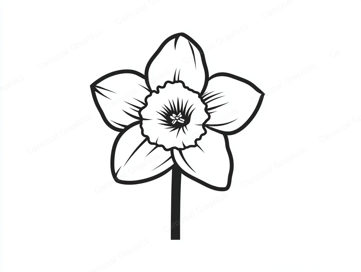 Daffodil Vector Graphic preview