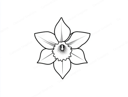 Daffodil Vector Graphic preview