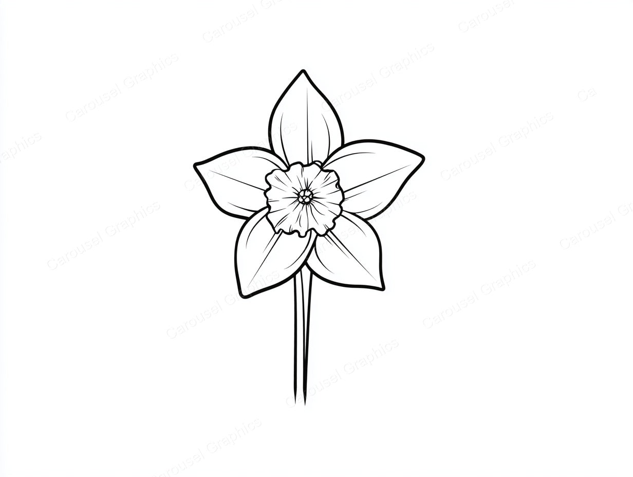 Daffodil Vector Graphic preview