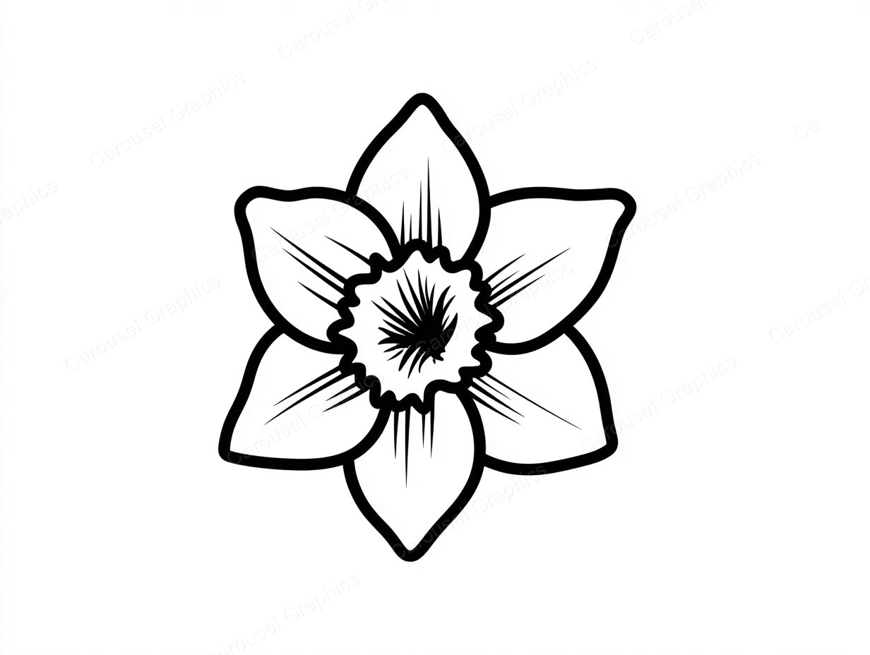 Daffodil Vector Graphic preview
