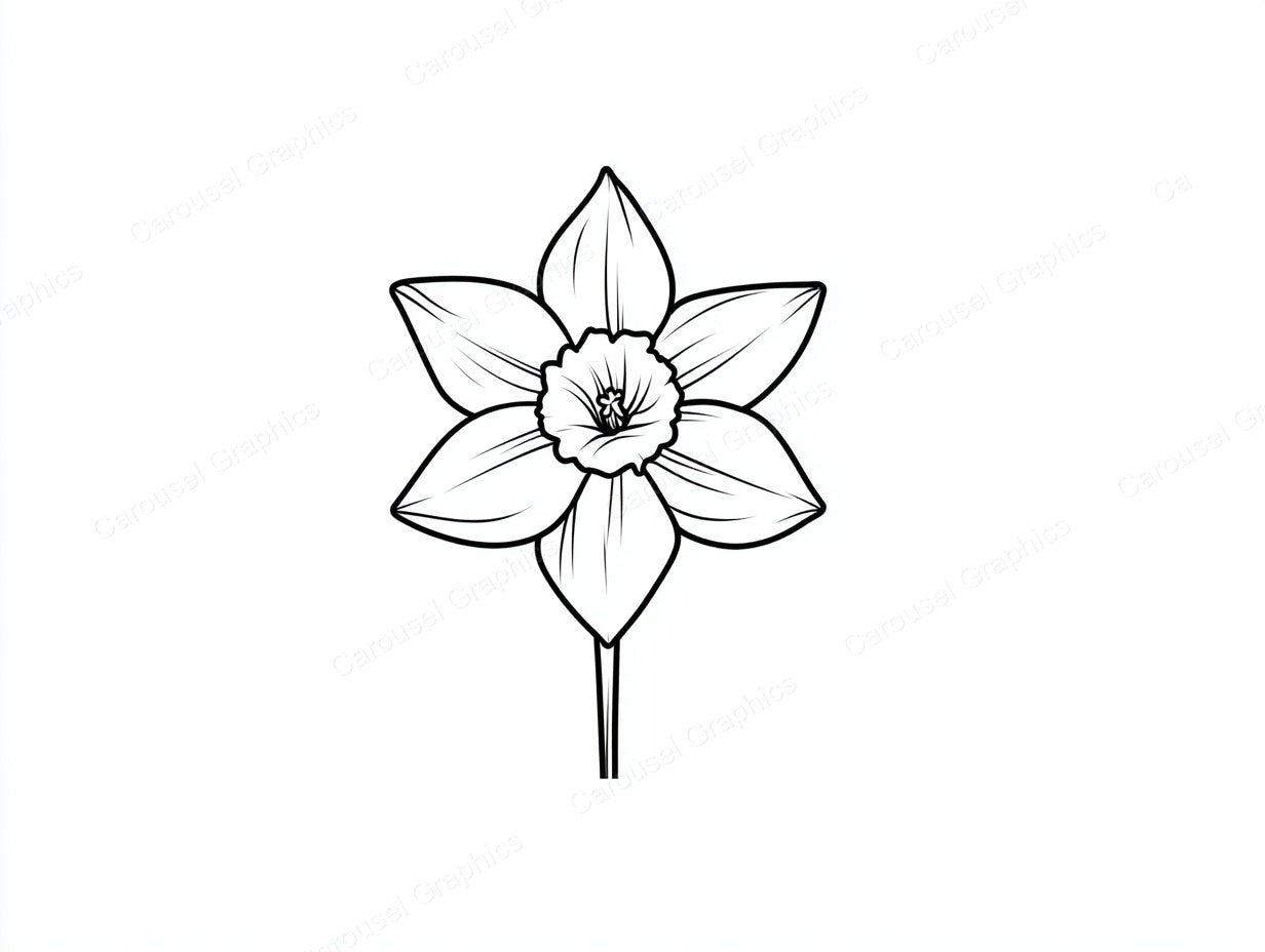 Daffodil Vector Graphic preview