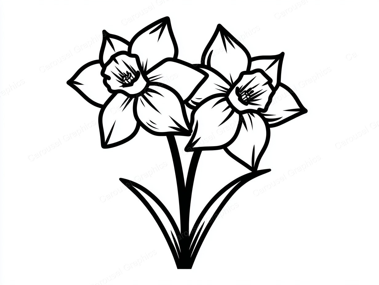 Daffodil Vector Graphic preview