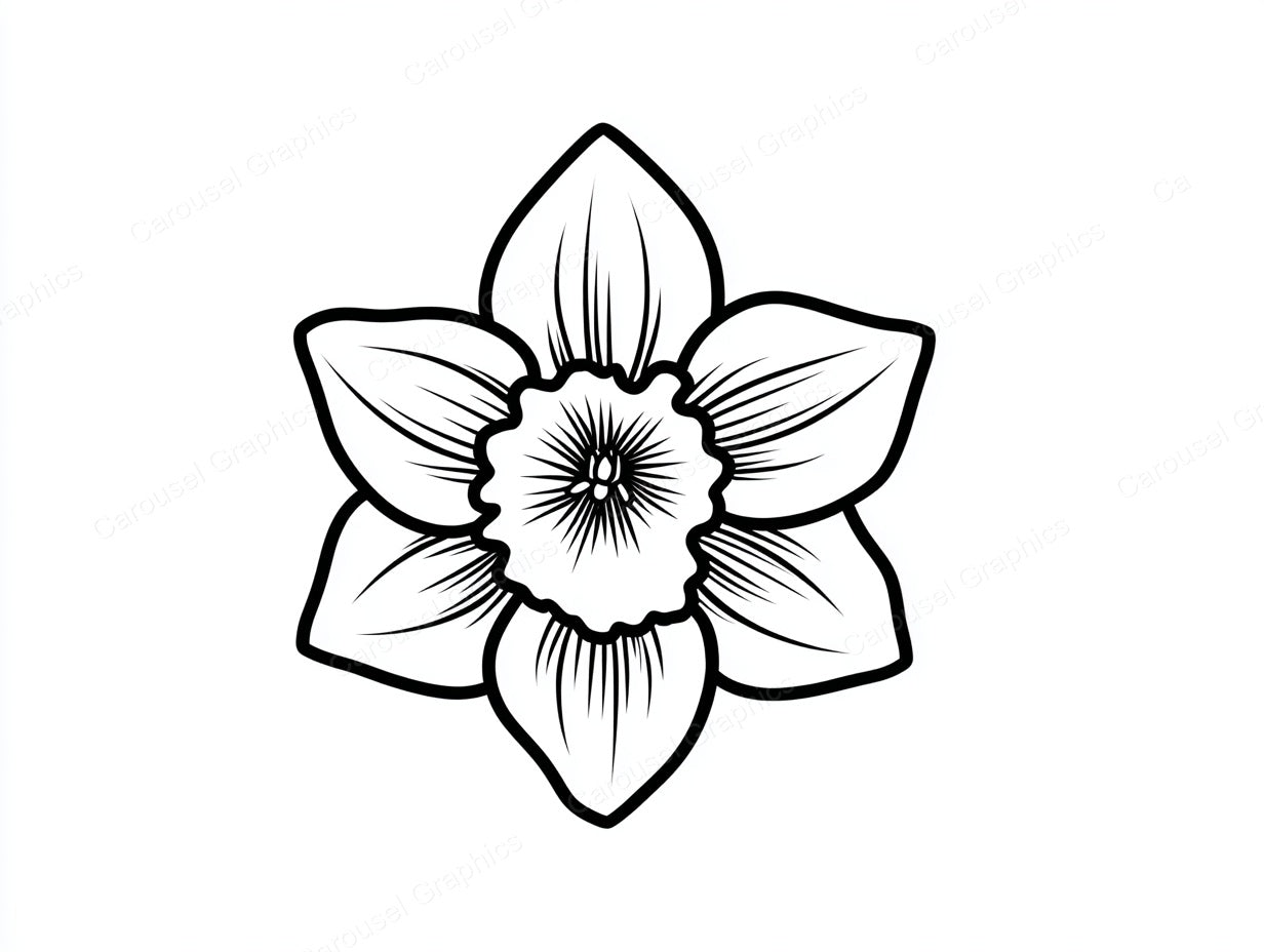Daffodil Vector Graphic preview