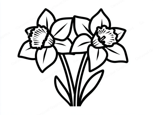 Daffodil Vector Graphic preview
