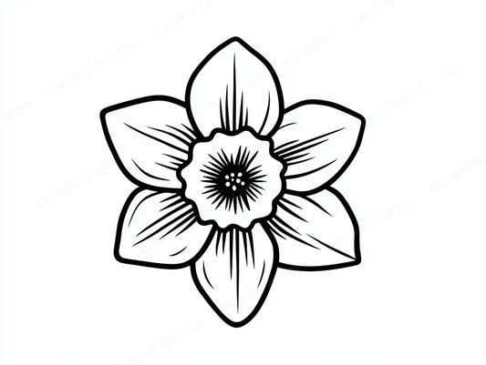 Daffodil Vector Graphic preview