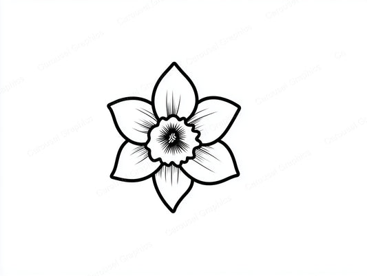 Daffodil Vector Graphic preview