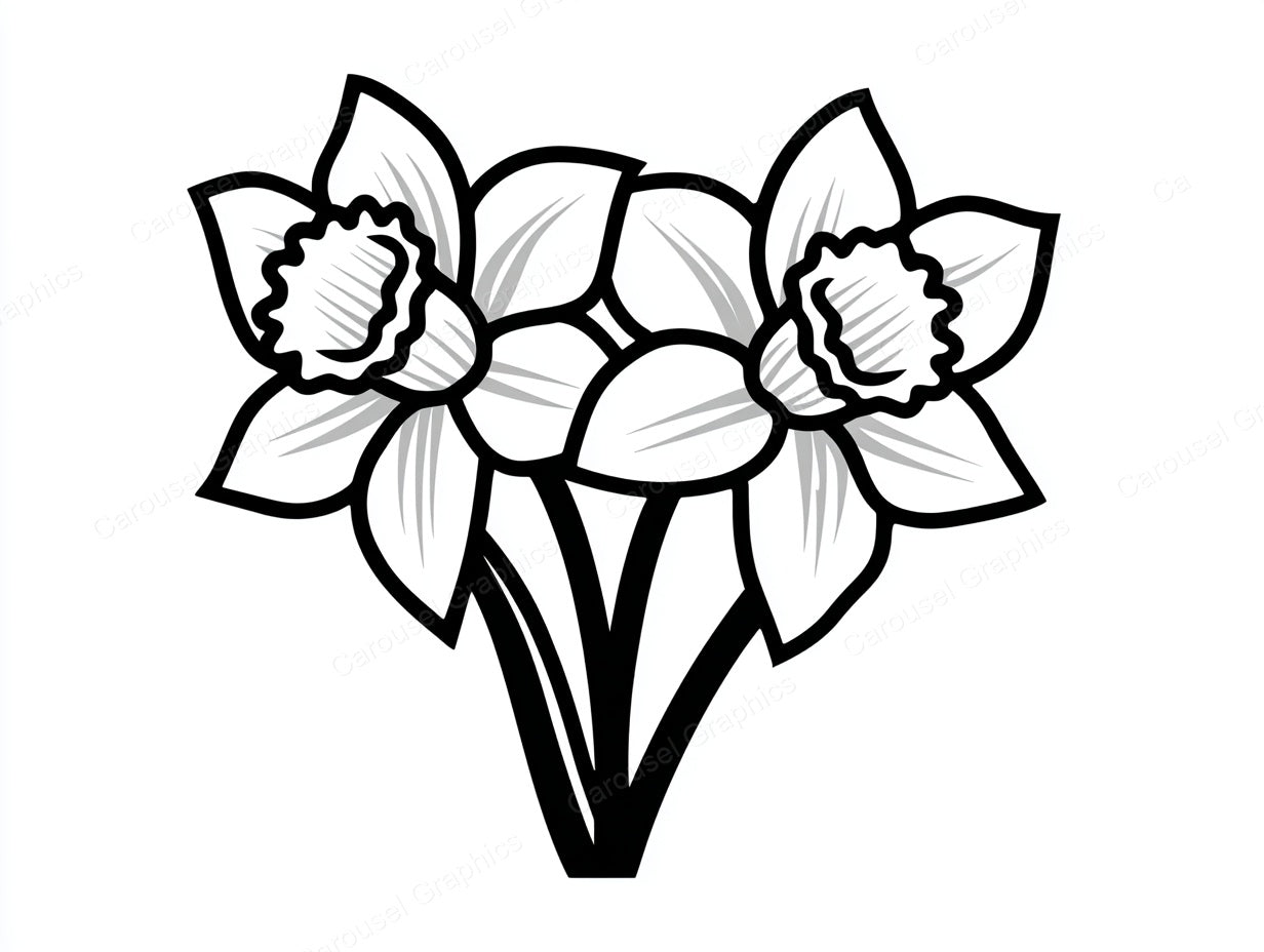 Daffodil Vector Graphic preview