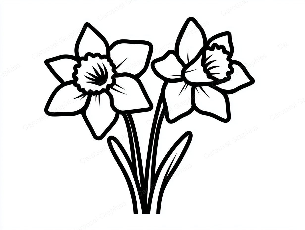 Daffodil Vector Graphic preview