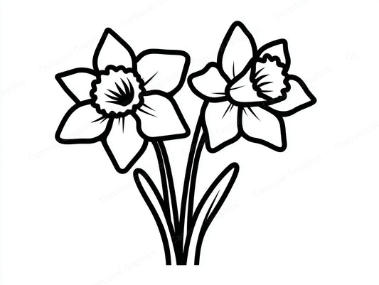 Daffodil Vector Graphic preview