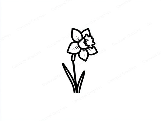 Daffodil Vector Graphic preview