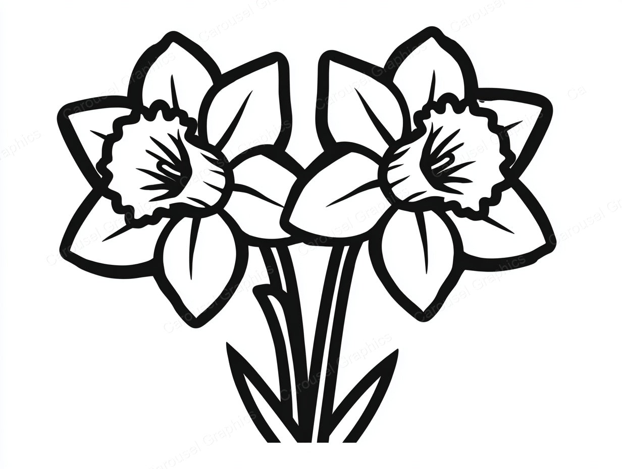Daffodil Vector Graphic preview