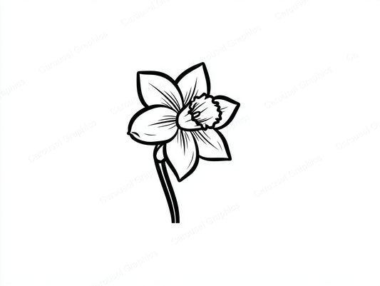 Daffodil Vector Graphic preview