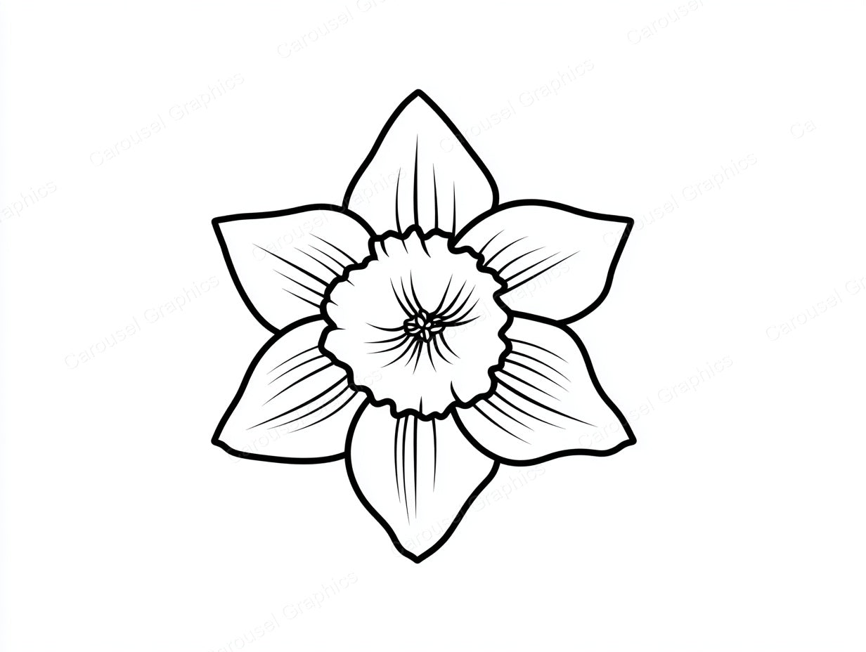 Daffodil Vector Graphic preview
