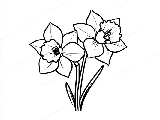 Daffodil Vector Graphic preview