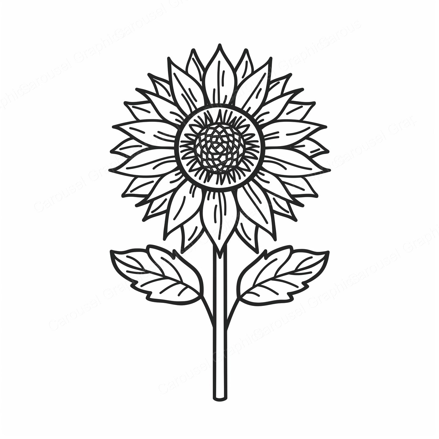 Sunflower Vector Graphic preview