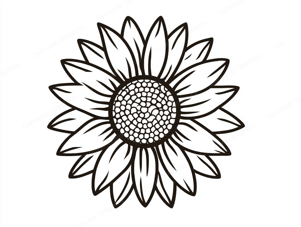 Sunflower Vector Graphic preview