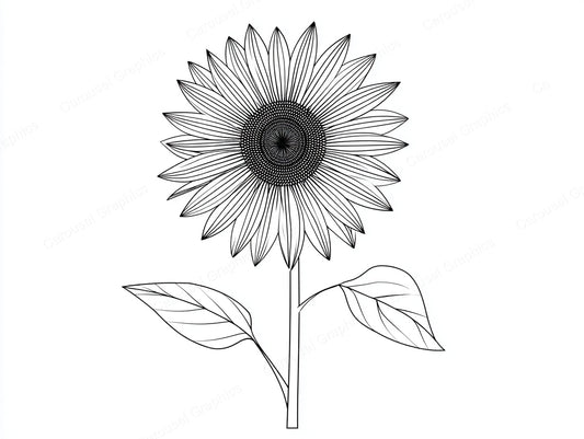 Sunflower Vector Graphic preview