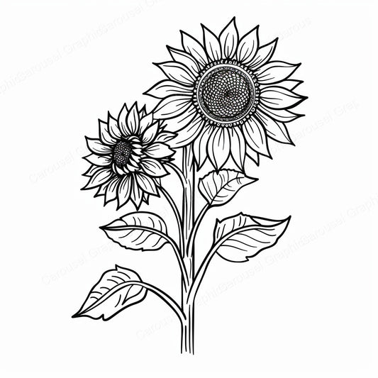 Sunflower Vector Graphic preview