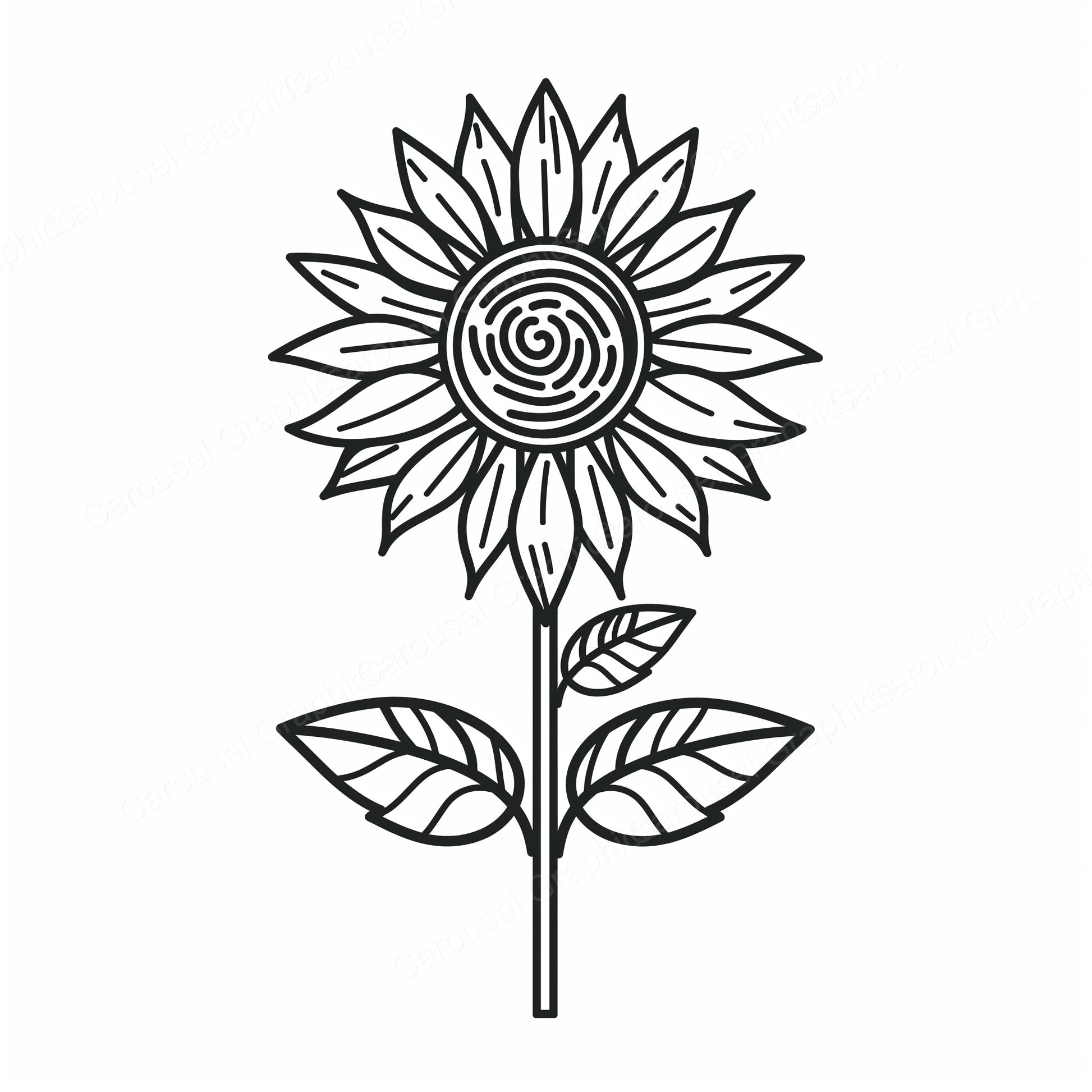 Sunflower Vector Graphic preview