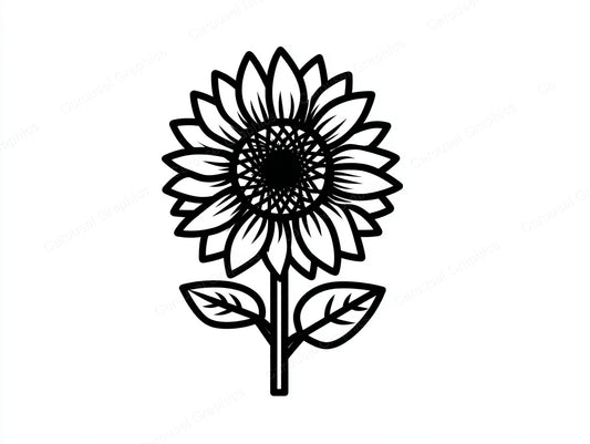 Sunflower Vector Graphic preview