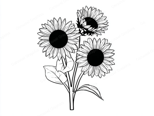 Sunflower Vector Graphic preview