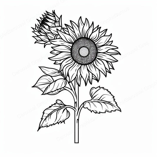Sunflower Vector Graphic preview