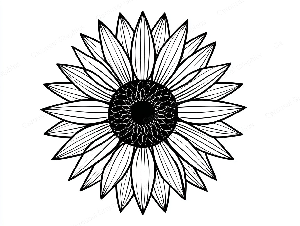 Sunflower Vector Graphic preview