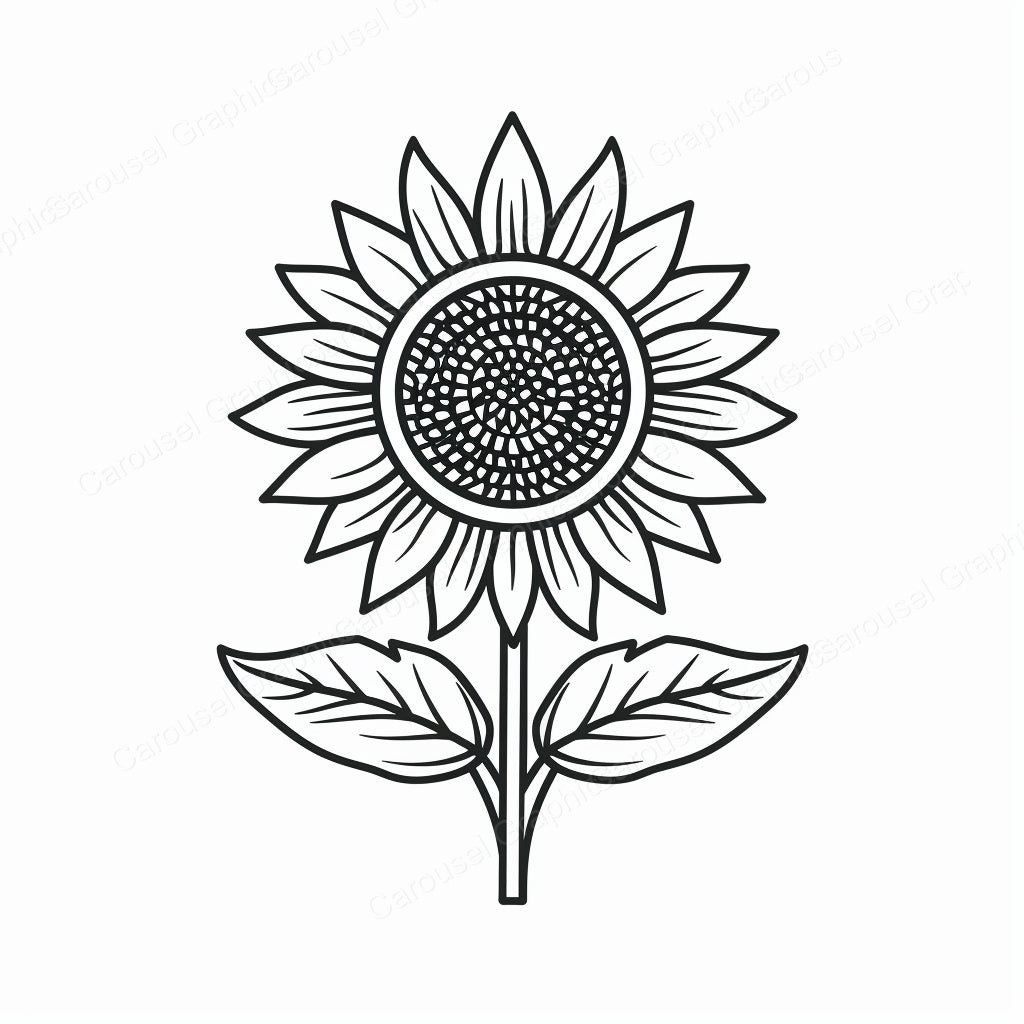 Sunflower Vector Graphic preview