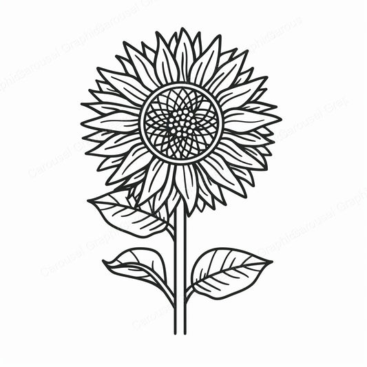 Sunflower Vector Graphic preview