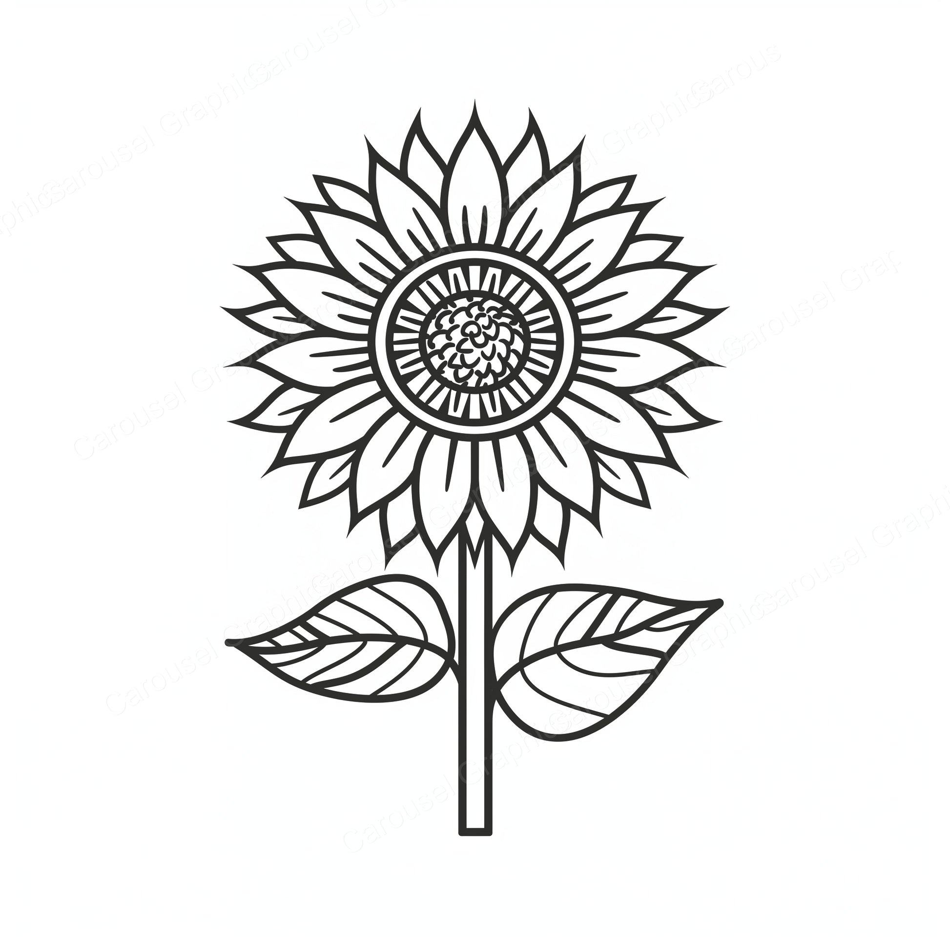 Sunflower Vector Graphic preview