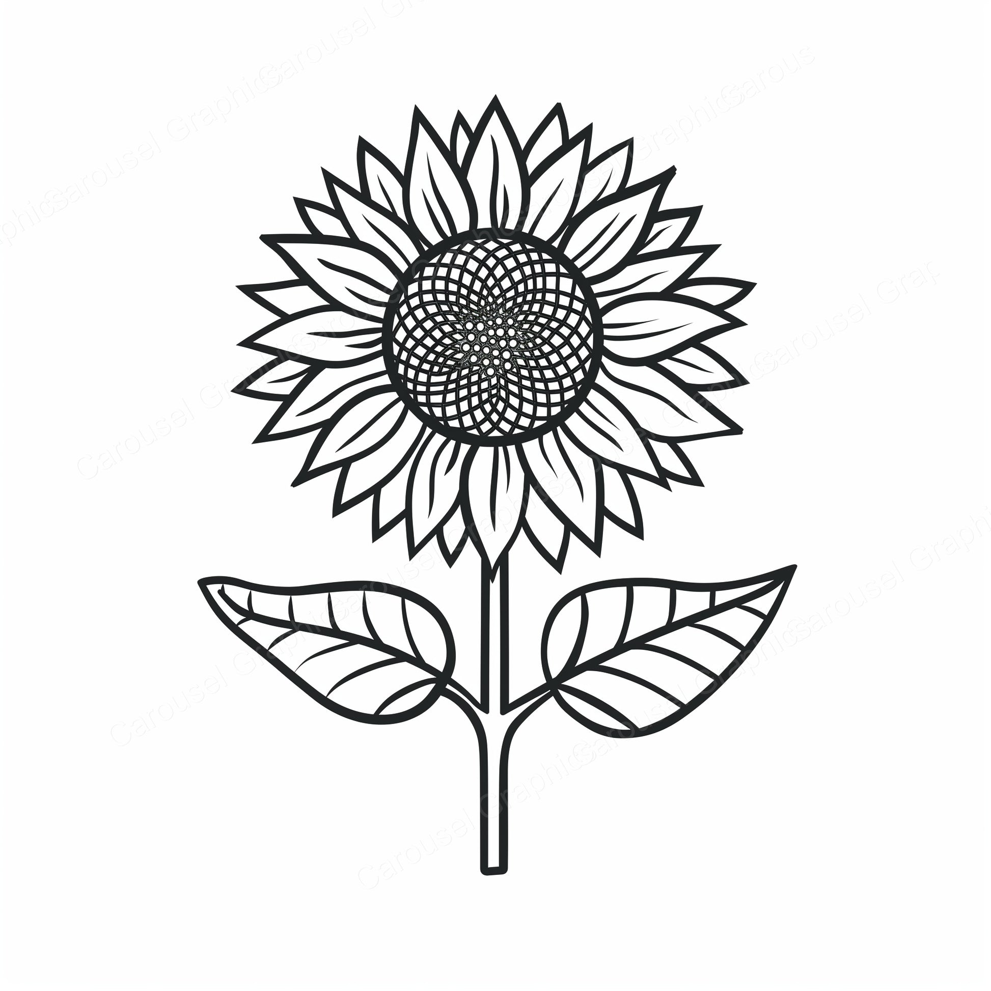 Sunflower Vector Graphic preview