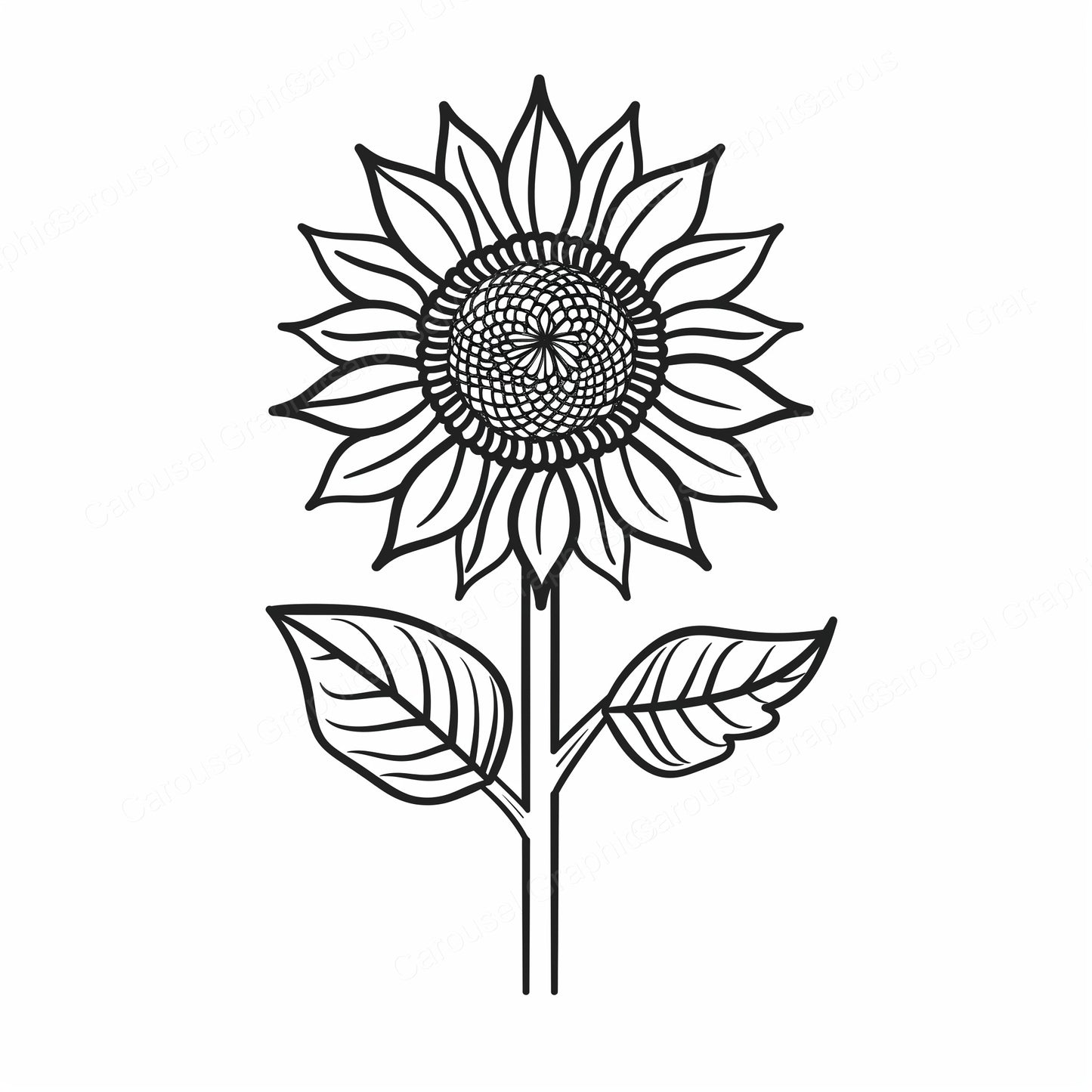 Sunflower Vector Graphic preview